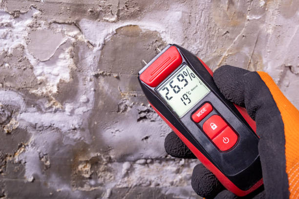 Best Mold Remediation  in El Paso De Robles, CA