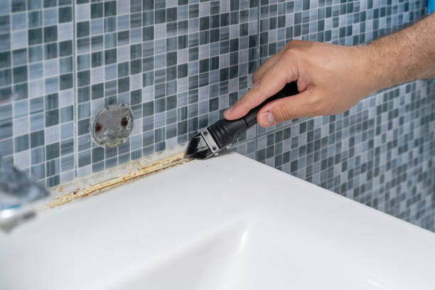 Best Toxic Mold Removal  in El Paso De Robles, CA